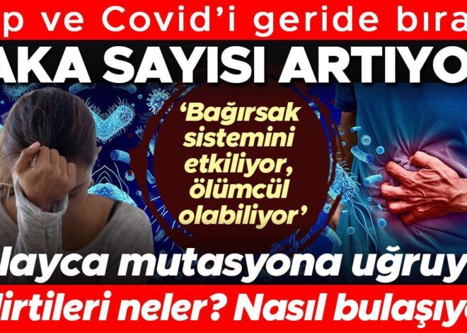 Grip ve Covid’i geride bıraktı, vaka sayısı artıyor! Kolayca mutasyona uğruyor | ‘Mide-bağırsak sistemini etkiliyor, ölümcül olabiliyor’